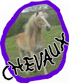 chevaux